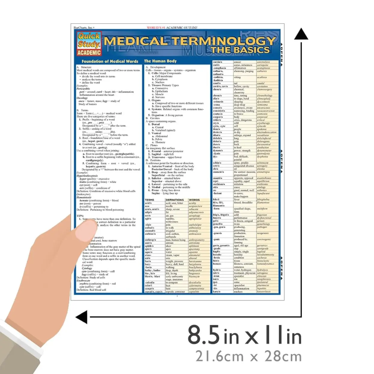 Medical Terminology: The Basics QuickStudy Laminated Reference Guide ...