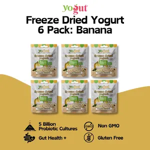 YoGut Freeze Dried Yogurt 6 Pack - Banana