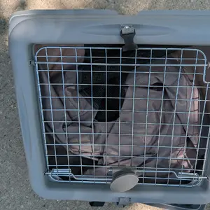 Collapsible pet carrier