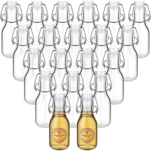 20 Pack Mini Glass Bottles with Swing Top Lids, Airtight Flip Top Bottles for Vanilla Extract, Homemade Gifts, Party Favors(Clear, 4 oz)
