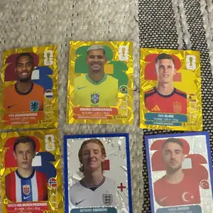 2026 Panini World Cup Sticker Gold Crumple Exclusive