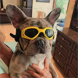 Hip Dog Sunglasses