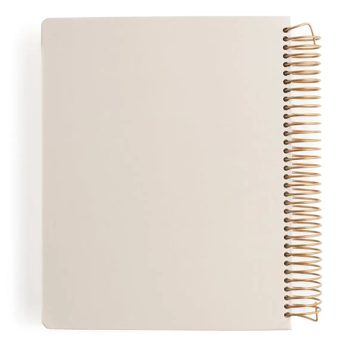 She Reads Truth Notetaking Bible – New Testament | Spiral-Bound Study Bible, Wide Margins, Reading Plans & Scripture Journaling Edition - Spiral-bound