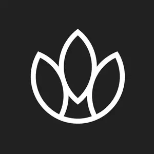 background preload poster image 