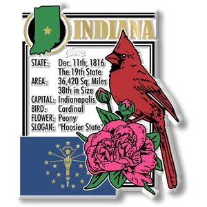 Indiana State Montage Magnet by Classic Magnets, 2.8" x 3.3"