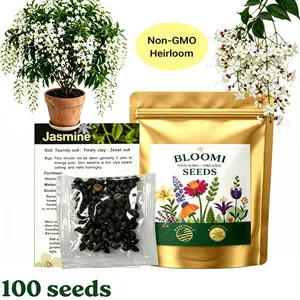Trailing Jasmine Seeds Bridal Veil High Germination Rate Nodding Clerodendron Easy to Grow Long Lasting Aroma for Home Garden Fragrant Blooms Rare Cascading Jasmine Perfect for Balconies & Indoor Pots