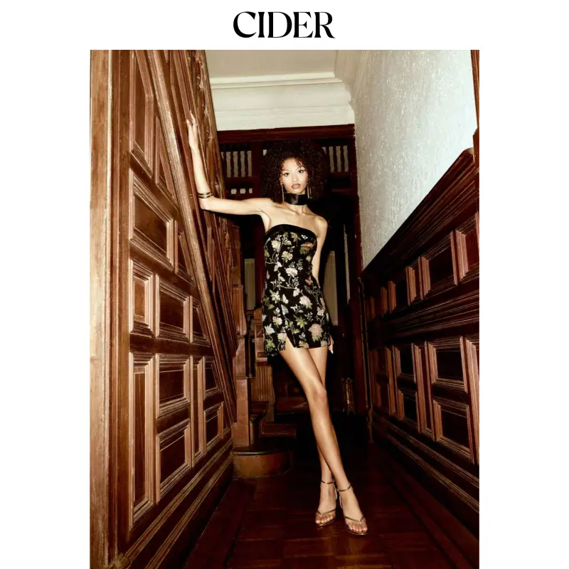 Cider Women's Sleeveless Jacquard Woven Floral Crew Neck A-Line Above-the-Knee Mini Dress with Bowknot Scarf, Jacquard Woven Casual Dresses for Ladies, Going Out & Casual Party Wear