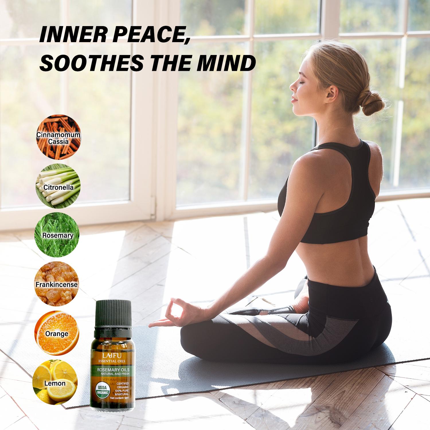 Oils Blends Set for Diffusers for Home, Aromatherapy Diffuser Oil Scents Calming, Sweet Dreams, Immunity, Relax, Mood, Fresh Air, Fragrance Oils for Diffusers Oils Blends Set for Diffusers for Home, Aromatherapy Diffuser Oil Scents Calming, Sweet Dreams, Immunity, Relax, Mood, Fresh Air, Fragrance Oils for Diffusers