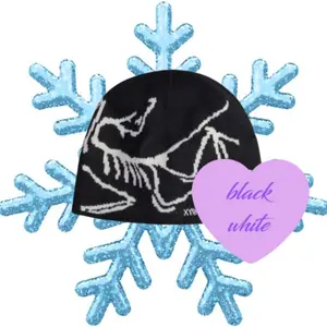 Arc'teryx Bird Head Toque Beanie, Stay Warm This Winter, Outdoor Mountain Lifestyle Hat