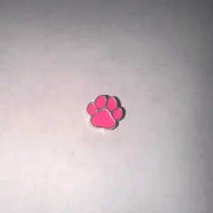 Hot Pink Dog Paw Pop Charm