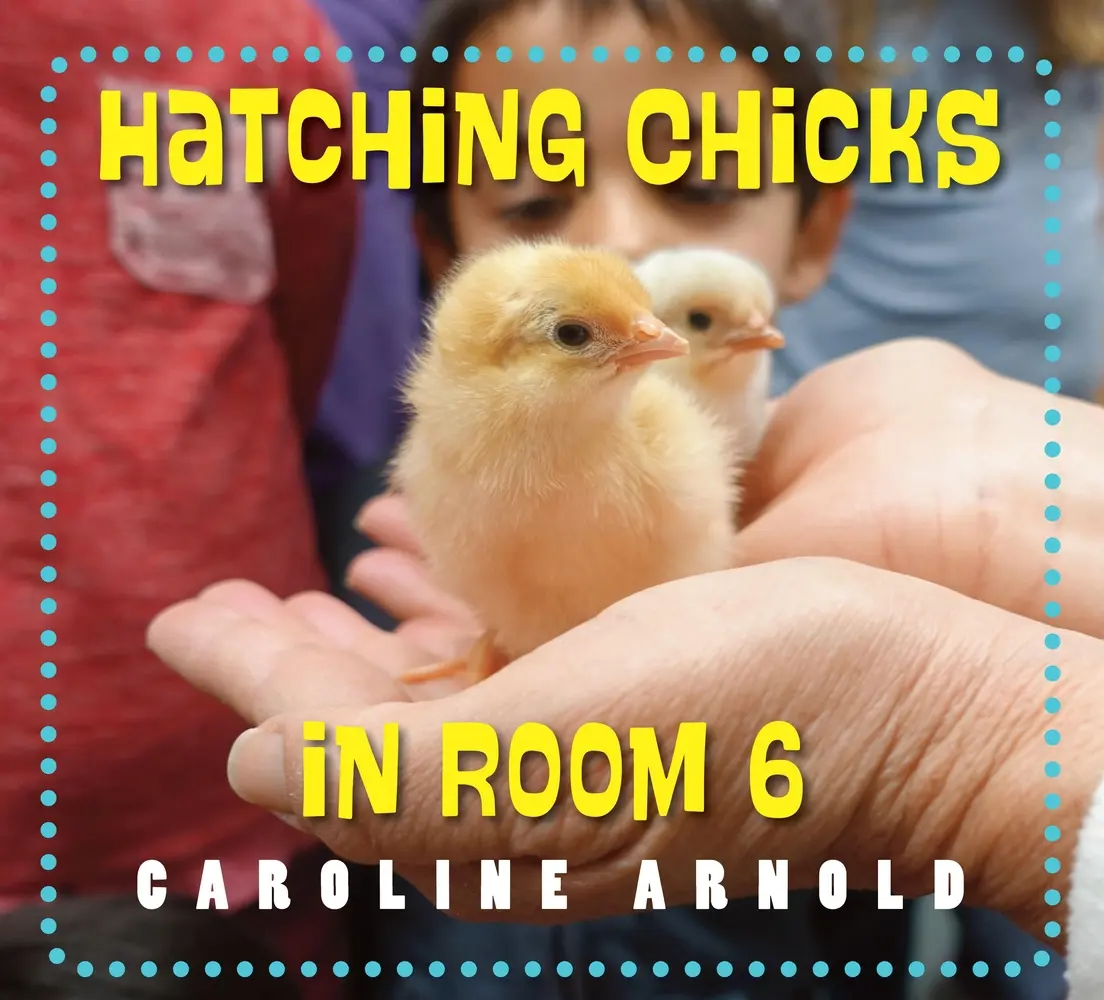 USED-Hatching Chicks in Room 6 by Arnold, Caroline (Hardcover)