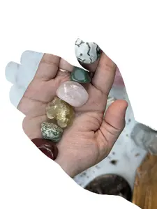 Amityville Apothecary Plant Witch Crystal Kit