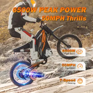 HappyRun Electric  Bike G300 Pro