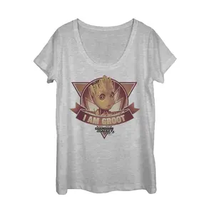 Women's Marvel Guardians of the Galaxy Vol. 2 Groot Banner Scoop Neck