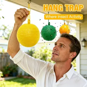 6Pcs Fruit Fly Trap Balls Hanging, Flying Traps Outdoor and Bugs Sticky Ball, House Plants Kitchen Drains Yards Gardens Indoor Outdoor, Fruit Fly Killer and Mosquito Catcher