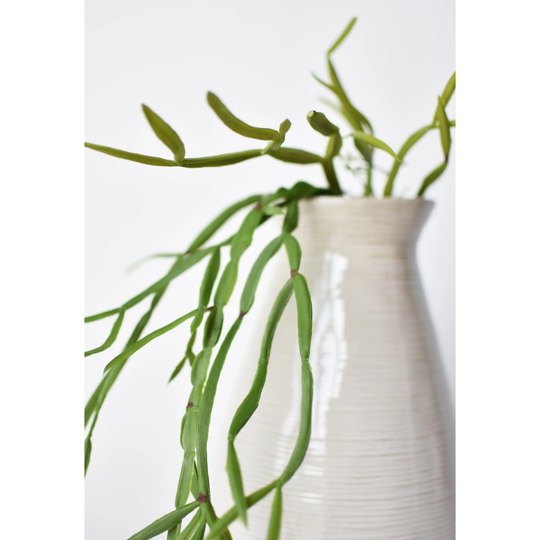 23" Faux Hanging Pencil Cactus Succulent Bush