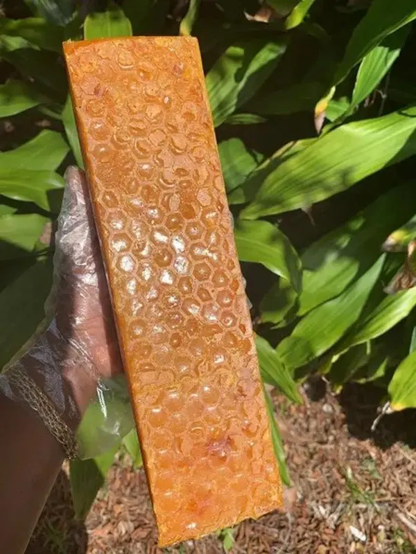 Turmeric & Honey Bar Skincare Tools S.o.a.p – Handmade by Esthetician | Natural Skincare Tools Cleanser with Shea Butter