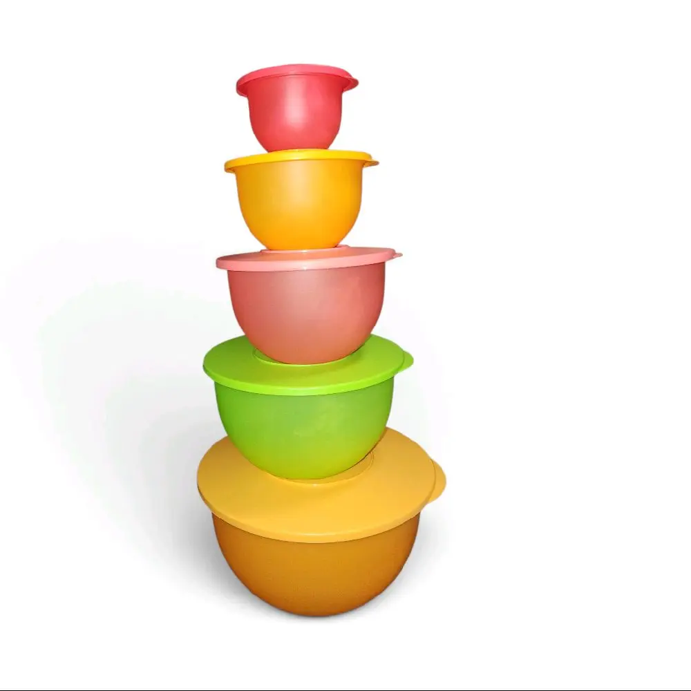 Tupperware Impression 5-Piece Food Storage Bowl Set, Reusable, BPA-Free, Stackable for Kitchen Organization (LIVE ONLY)
