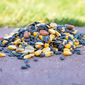 Critter Blend – All-Natural Premium Wildlife and Wild Bird Food for Squirrels, Rabbits, Chipmunks, Jays, Grosbeaks, and More (10 lbs)