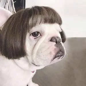Silk Pet Wig