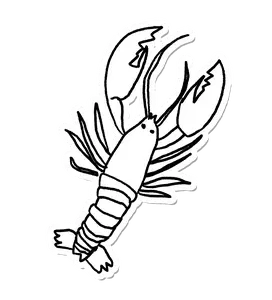 Doodle Lobster