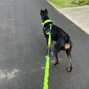 Product Review of iYoShop Hands Free Dog Leash with Zipper Pouch, Dual Padded Handles and Durable Bungee for Walking, Jogging and Running Your Dog from k**️