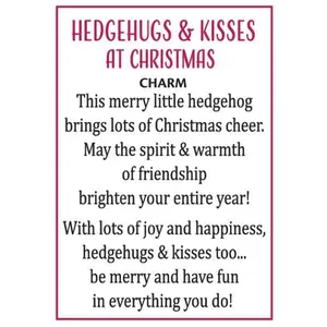 Little Christmas Hedgehog Pocket Charm