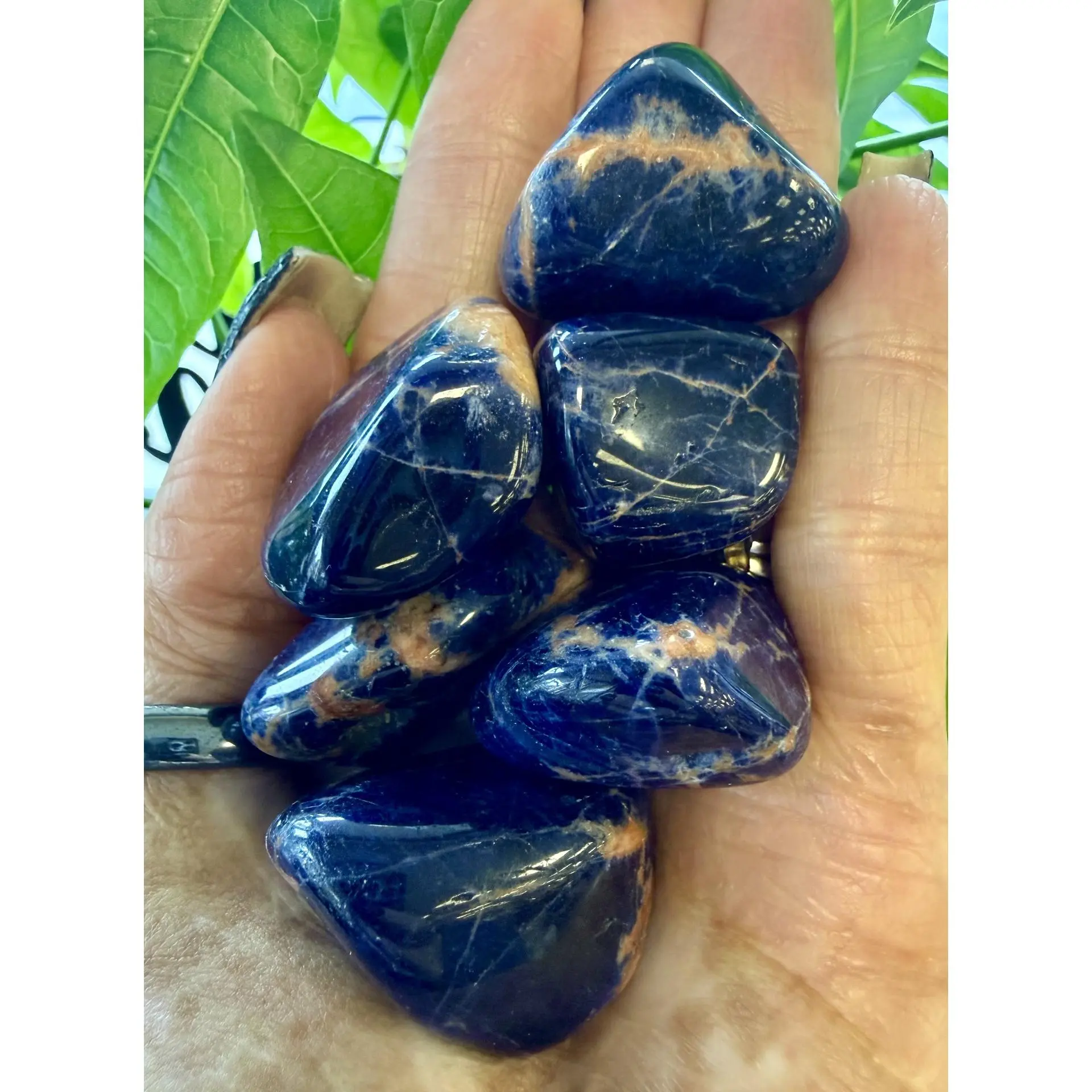 Sunset Sodalite Tumbled