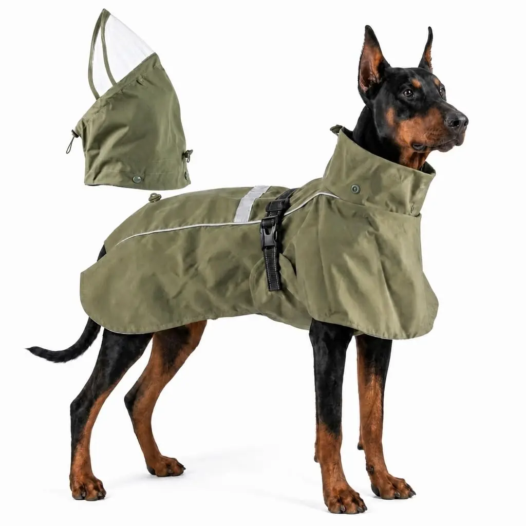 RYNVALE STUDIO Waterproof Polyester Shell Dog Raincoat Poncho - Breathable, Windproof, Full Body Coverage with Adjustable Strap, Leash Port, Removable Hood, Reflective Details for Large Sizes Giant Dogs, Green
