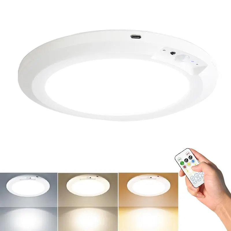 Motion sensor ceiling light