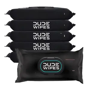 DUDE Wipes - Flushable Wipes - 6 Pack, 288 Count - Mint Chill - Vitamin-E, Aloe, Eucalyptus & Tea Tree Oils - Septic and Sewer Safe