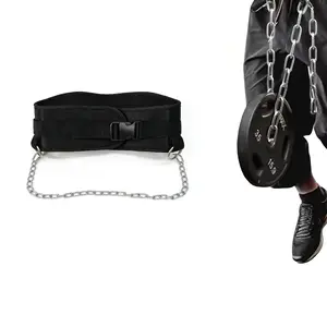 Weighted Indoor Single & Double Bar Pull-Up Weightlifting Plates Adjustable Weights Plates, Squat Belt for Fitness Strength Training, Chain-Linked Pull-Up Strap