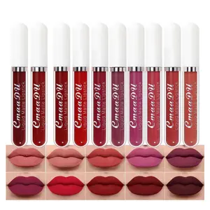 evpct 10Pcs Liquid Matte Matt Lipstick Set for Black Women, Dark Deep Bright Ruby Sexy Brick Mauve Plum Red Violet Purple Matte Lipstick Long Lasting Lipstick 24 hour Waterproof Lip Gloss