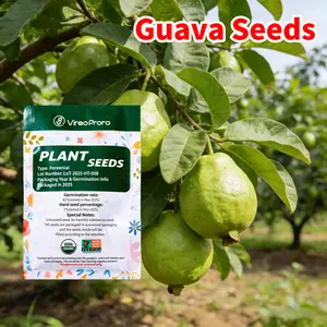Guava Seeds Non-GMO Heirloom Natural Fresh Tropical Fruit Seeds Easy Grow Backyard Patio Balcony Container Outdoor Garden Home Orchard Landscape Planting Seeds