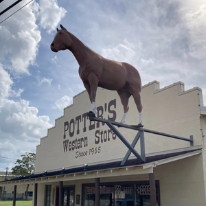 Potter's Western Store