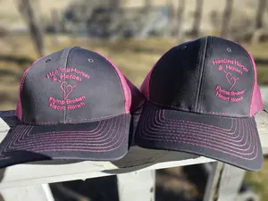 Healing Horses and Heroes ballcap. Grey and pink custom embroidery, mesh, snapback