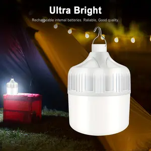 1 USB-Rechargeable LED Bulb - Portable Flashlight & Night Light with Hook, High Brightness, Low Voltage for /Camping/Emergency, USB- Light Suitable for Outdoor, Parties, Gifts