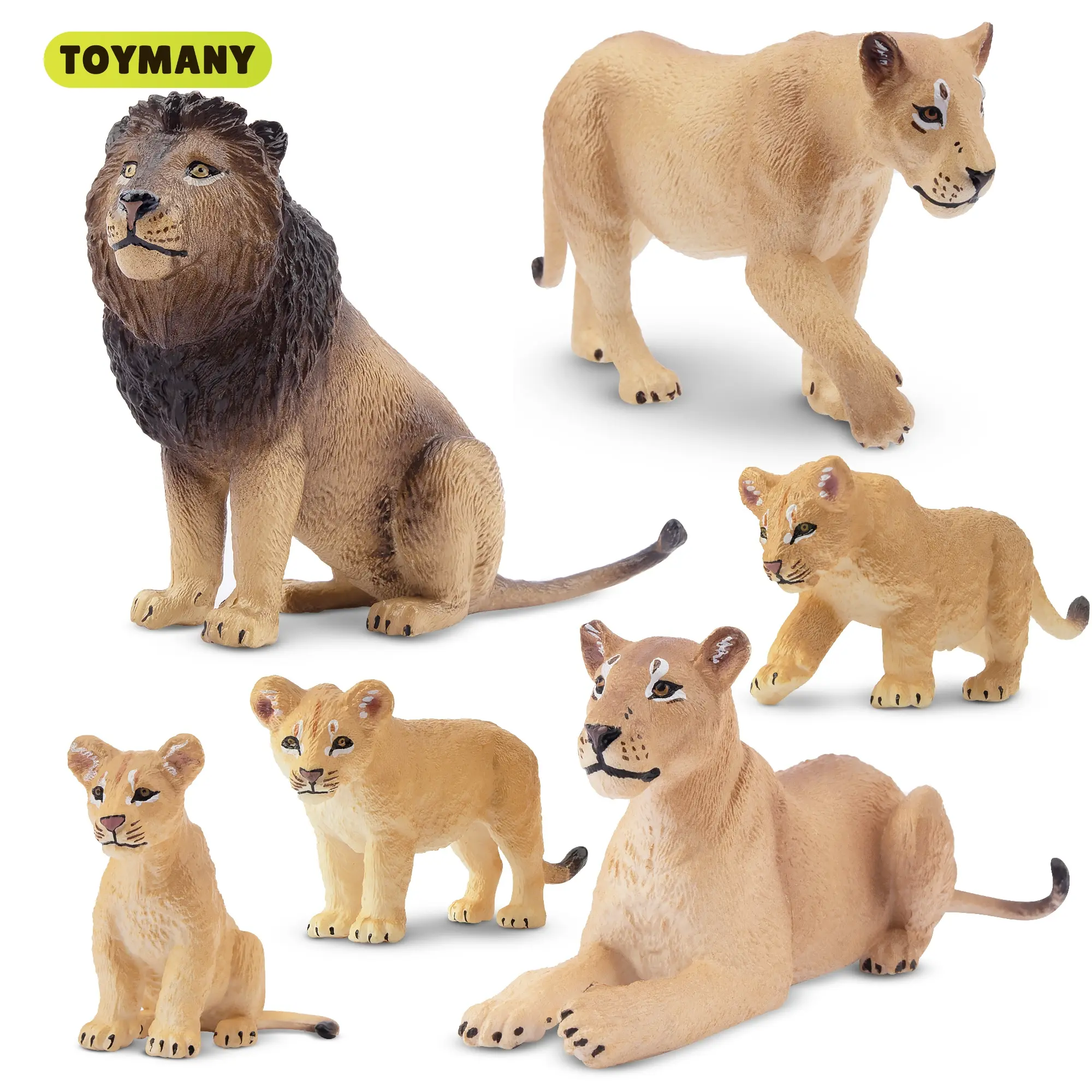 TOYMANY 6PCS PVC Plastic Realistic Lion Figurines Set - 2 Lionesses, 0.8-2in Collectible Animals with Cubs, Age 3+ Learning Educational Toys, Cake Toppers, Gift Ideas for Kids