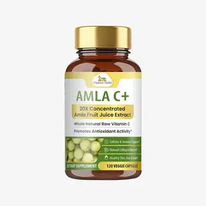 Organic Veda Amla + Capsules, 20 X Concentrated Amla Fruit Juice Extract Natural Vitamin C Supplement - Antioxidants, Immunity, Skin & Hair Growth Support - Whole Green Vitamin C 120 Vegan Capsule
