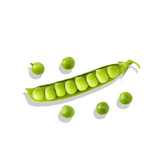 ALOHA Chocolate Protein Powder | 18g Plant Protein 15-Servings, 4g Sugar | Pea, Brown Rice & Pumpkin Seed | Certified USDA Organic, Vegan, Stevia-Free, Soy-Free | Rich & Creamy With MCT Oil Fitness Supplements Natural Supplements