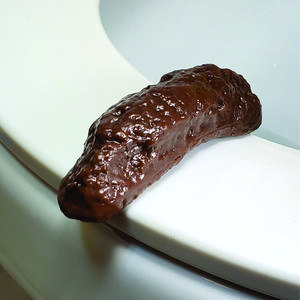 Party Pooper fake poop toilet bathroom prank joke gag for home, office, job site or any work
