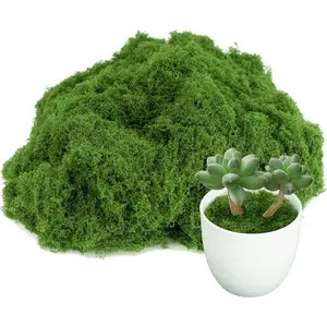 Fake Green Moss for Potted Plants,Artificial Moss for Crafts Indoor,DIY Table Decorating Fairy Garden Accessories Wedding Party Floral Decor Outdoor