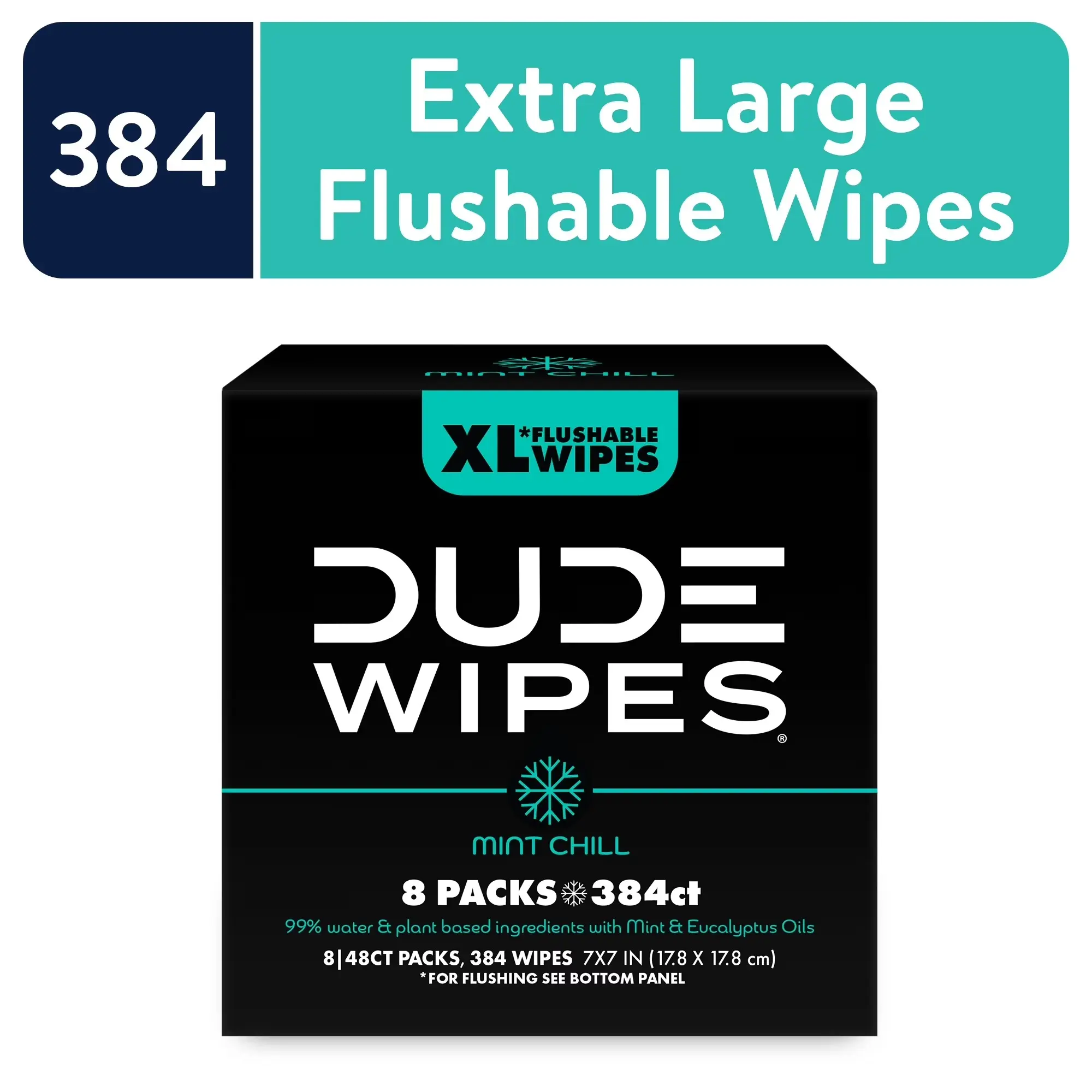 (Select for More Options) DUDE Mint Chill Wipes, Extra Large Flushable Wipes, 48 Count, 8 Pack (384 Total) Toilet