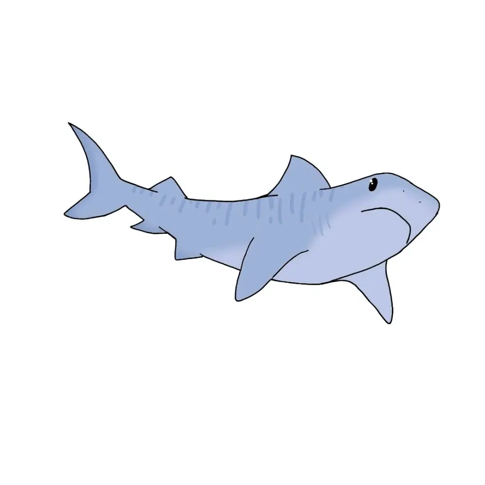 Waterproof Tiger Shark Sticker, Durable Vinyl Decal for Laptops, Water Bottles, notebooks