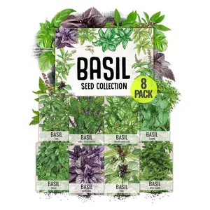 Seed Needs Culinary Basil Herb Seed Packet Collection (8 Individual Basil Seed Varieties for Planting) Non-GMO & Untreated Kitchen Herbs to Plant Indoors/Outdoors