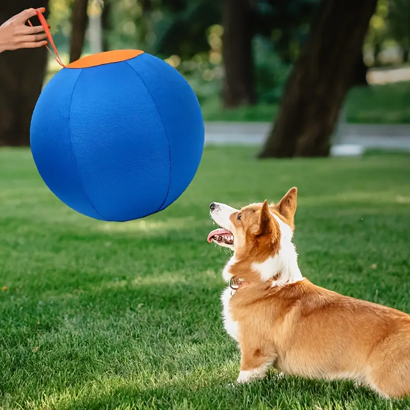 Pet dog toy inflatable balloon, complete set of dog balls, golden retriever anti...