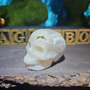 Caribbean Calcite Skull