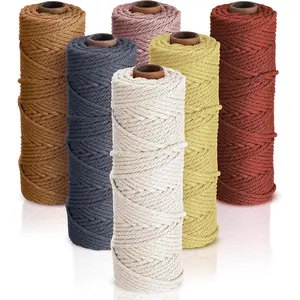 6 Rolls 3mm x 328 Yards Macrame Cotton Cord Colored Yarn Twine Set for DIY Wall Plant Hanger Crafts Knitting Making Supplies, 6 Soft Colors