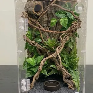 Arboreal Acrylic Terrarium Enclosure: Arboreal Gecko, Spider, Tree frog Reptile Habitat