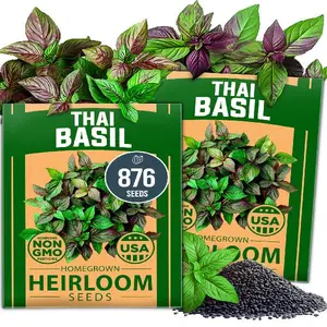 Thai Basil Seeds Pack - 876 High Germination Non-GMO Heirloom Herb Seeds for Planting, Ideal for Growing Fresh Basil Planting Indoor or Outdoor (Ocimum basilicum VAR. thyrsiflora)